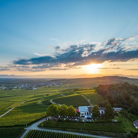 石头降压顶级酒店 Bischoffingen 外观 照片