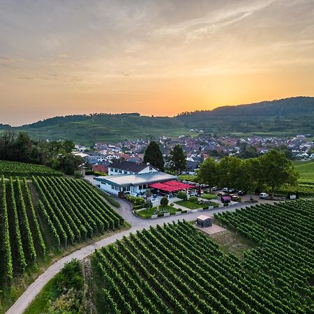 石头降压顶级酒店 Bischoffingen 外观 照片